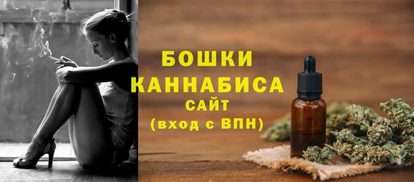 стафф Горнозаводск