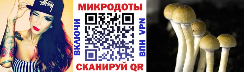 Галлюциногенные грибы мицелий Мончегорск